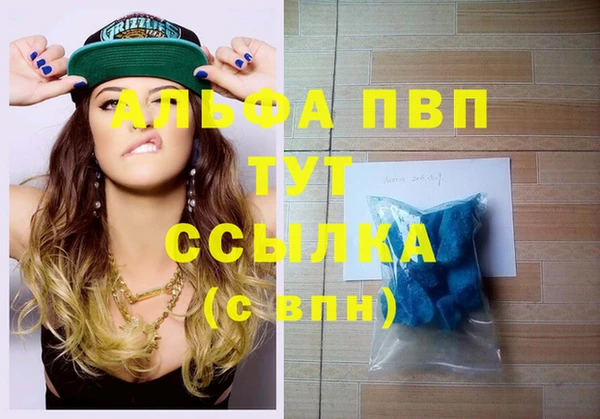 стаф Инсар