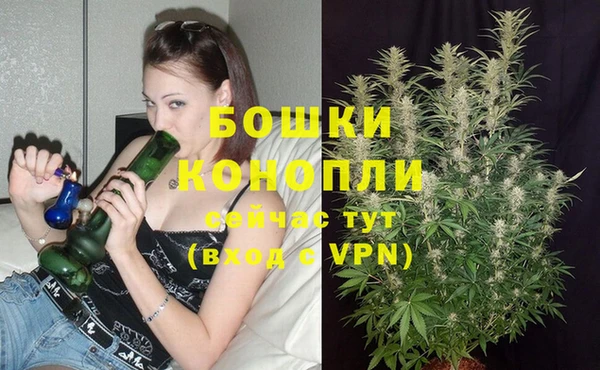 гашиш Инта