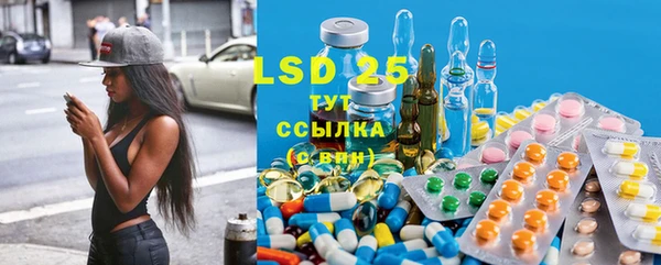 стаф Инсар