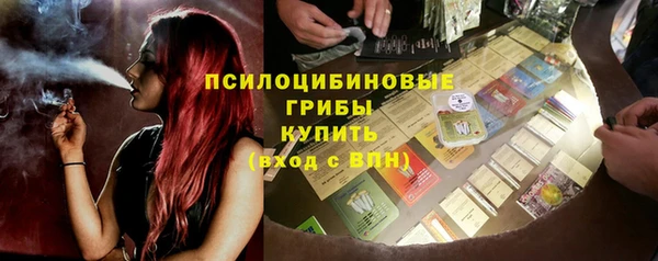 гидропоника Каменка