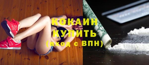 стаф Инсар