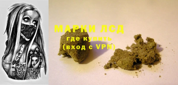 гидропоника Каменка