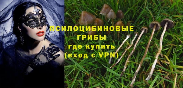 стаф Инсар