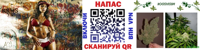Купить где Боровск Конопля гибрид